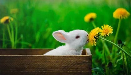 开云体育官方入口-【比赛总结】胜负背后隐藏的战术智慧，比赛有胜负的下一句